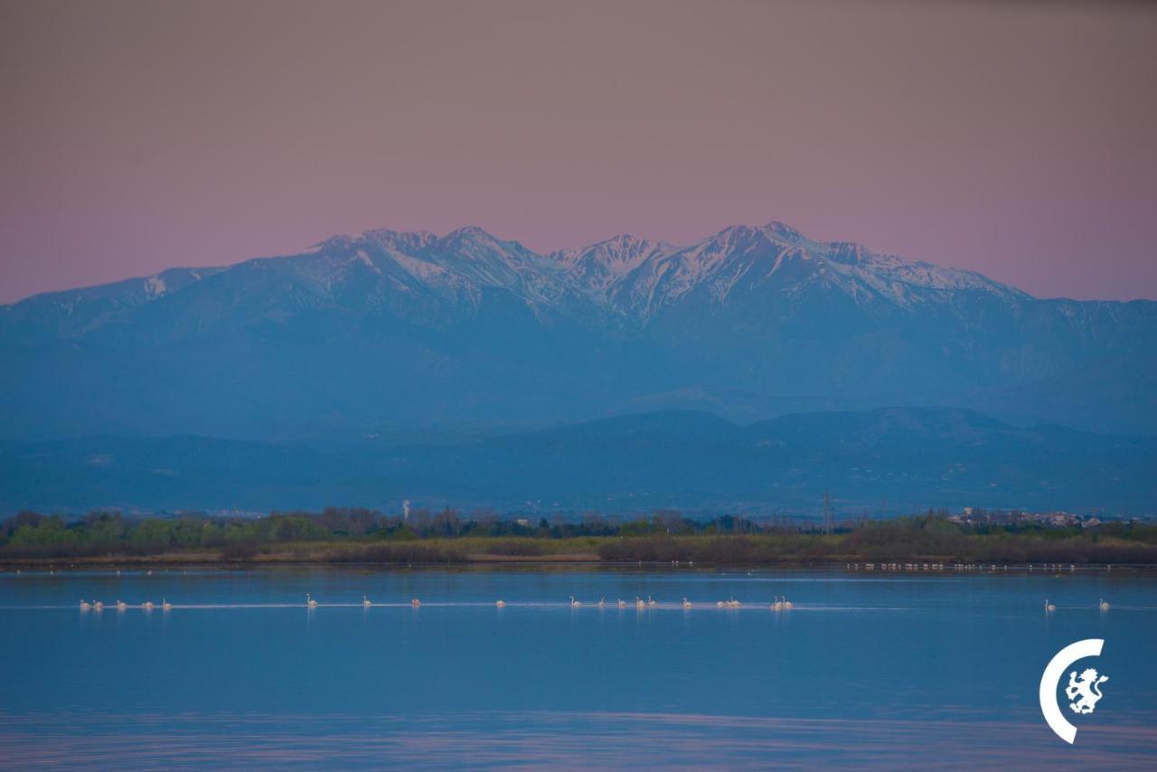 "Chill" Magnifique Vue Sur La Mer Et Le Port Au Coeur De La Ville En Premiere Ligne Canet-en-Roussillon Exterior photo